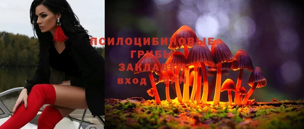 прущая мука Вяземский