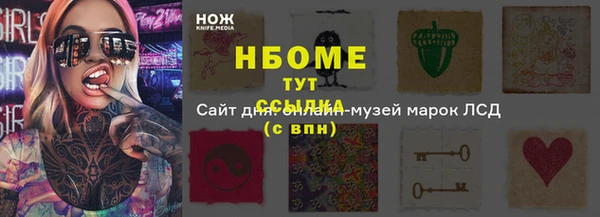 прущая мука Вяземский