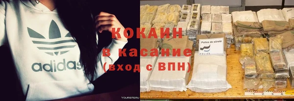 прущая мука Вяземский