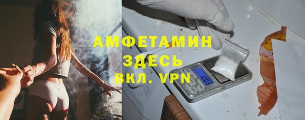 прущая мука Вяземский