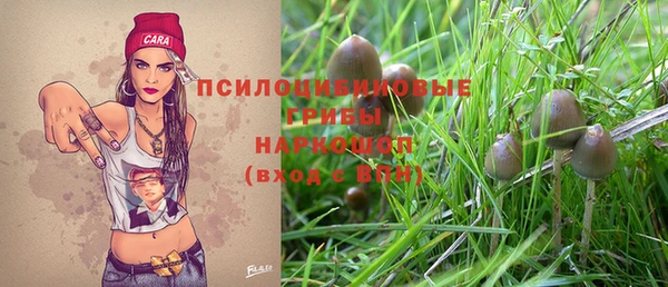 прущие крисы Вязники