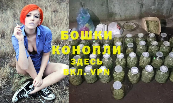 прущая мука Вяземский
