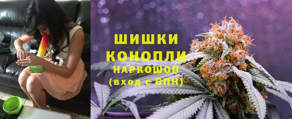 прущая мука Вяземский