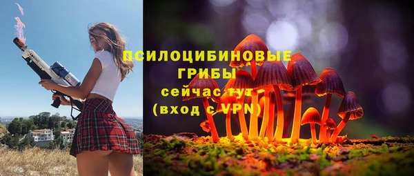 прущие крисы Вязники